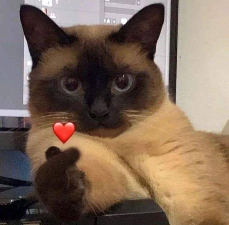 祝所有女性节日快乐🎉眼里有光，心中有爱活成自己喜欢的模样3.8 快乐，不止今天❤也祝所有男生 天天开心
